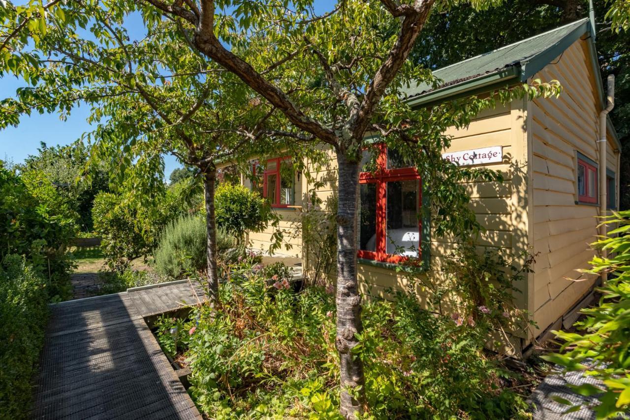 Shy Cottage And Studio Greytown Exterior foto